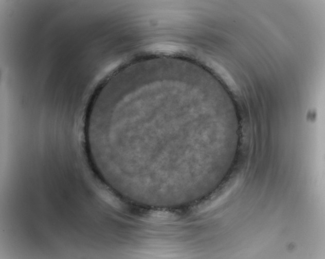 X0000103140399200809192010