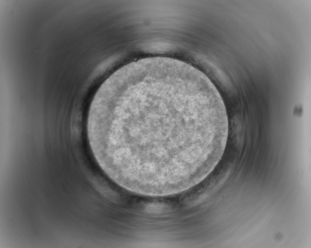 X0000103140400200809192010