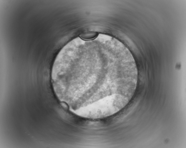 X0000103140401200809192010