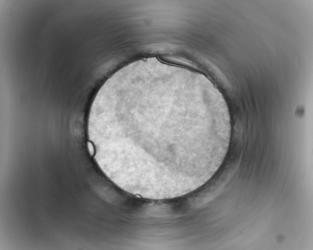 X0000103140403200809192010