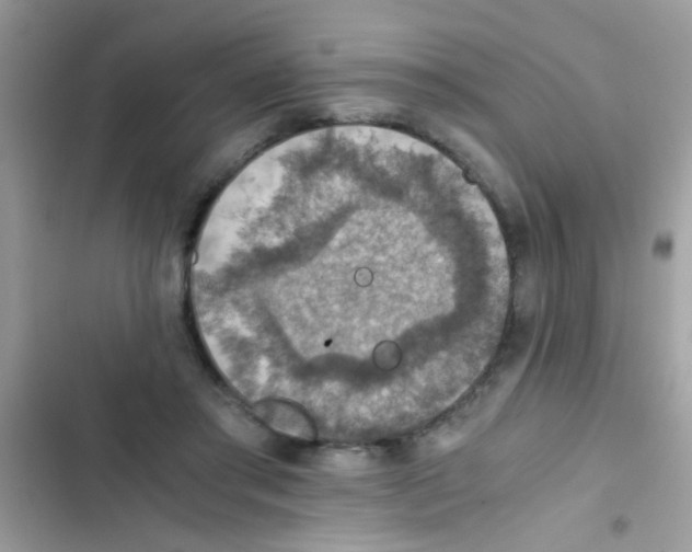 X0000103140405200809192010