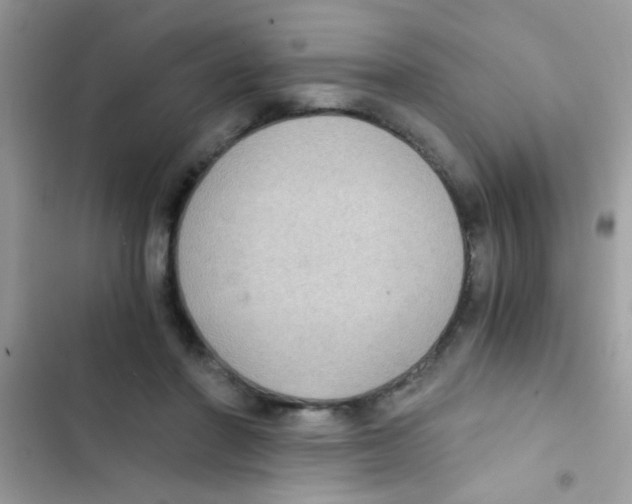 X0000103140406200809192010