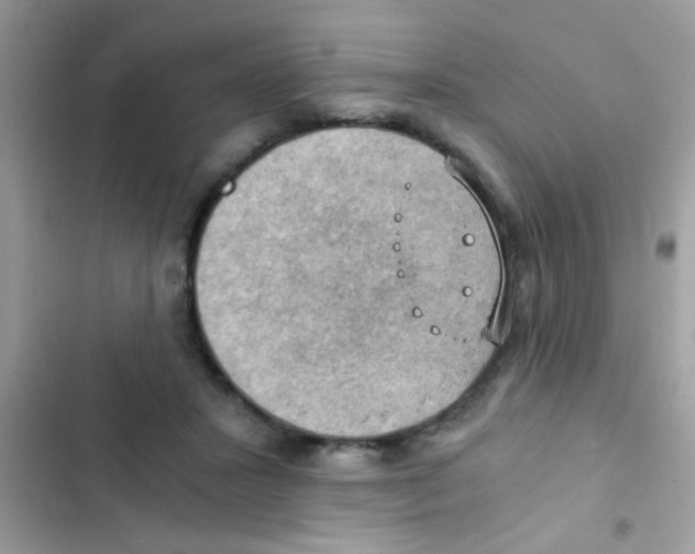 X0000103140407200809192010