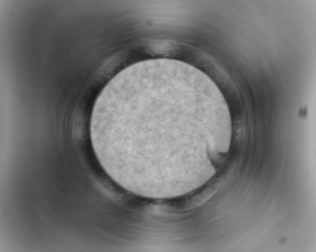 X0000103140408200809192010