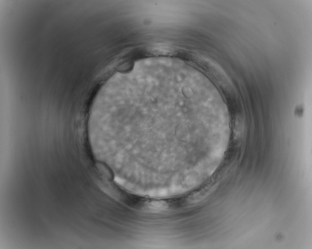 X0000103140409200809192010