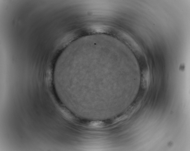 X0000103140410200809192010