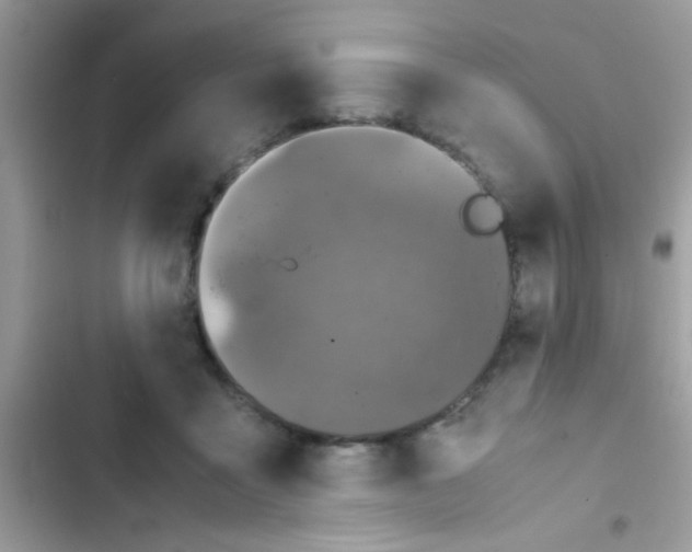 X0000103140411200809192010