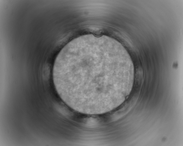 X0000103140412200809192010