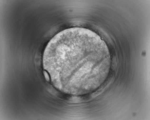 X0000103140413200809192010