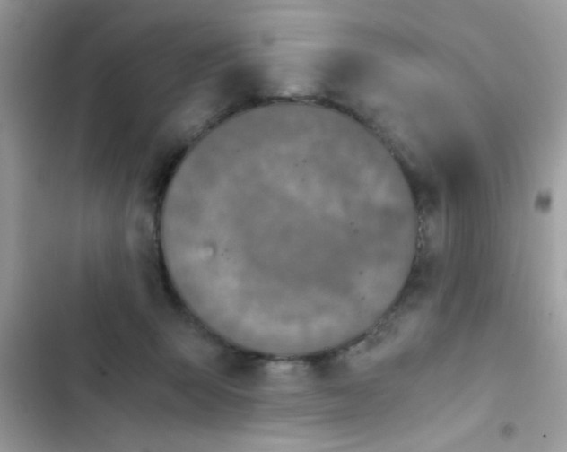 X0000103140415200809192010