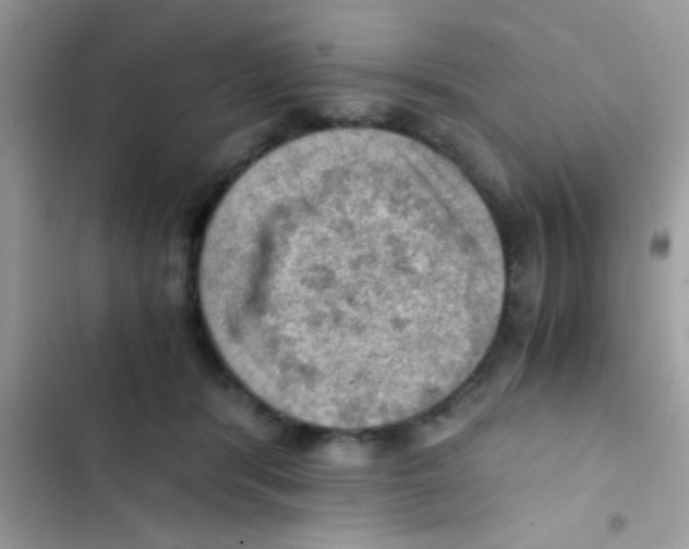 X0000103140416200809192010