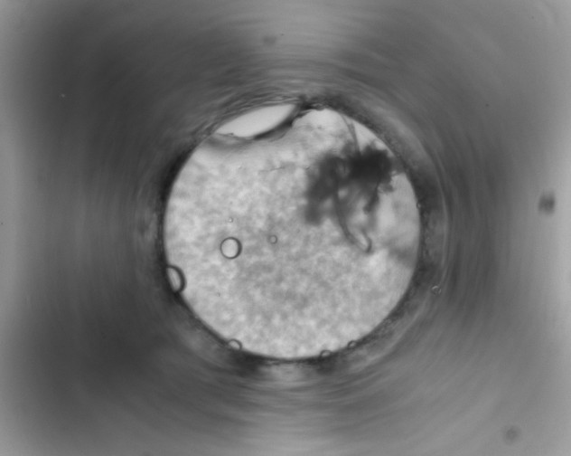 X0000103140417200809192010