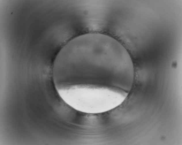 X0000103140419200809192010