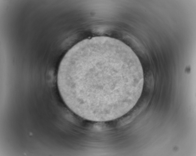 X0000103140420200809192010