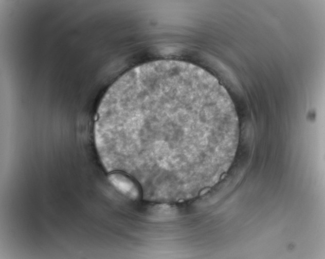 X0000103140421200809192010