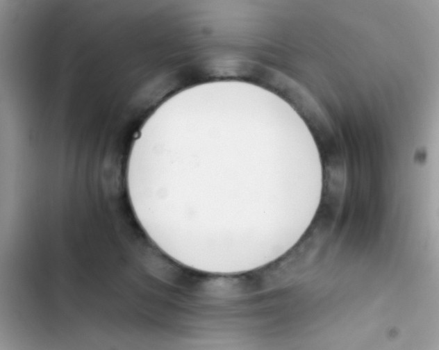 X0000103140422200809192010