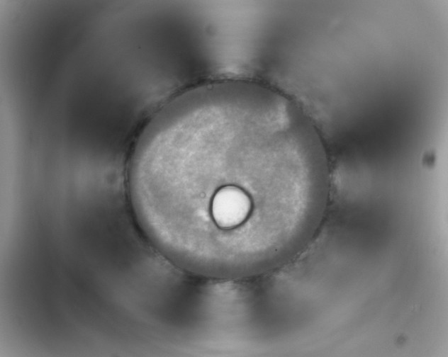 X0000103140423200809192010