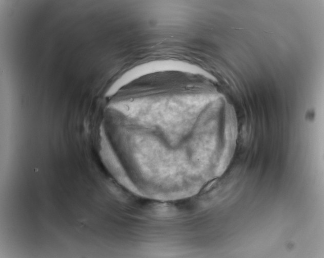 X0000103140424200809192010