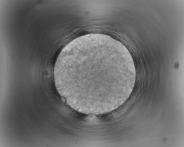 X0000103140425200809192010