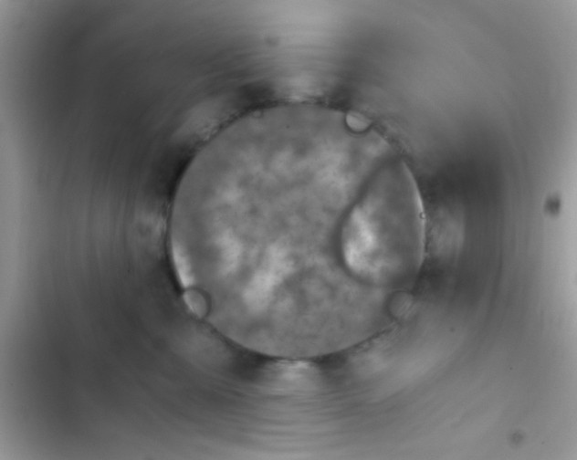 X0000103140427200809192010