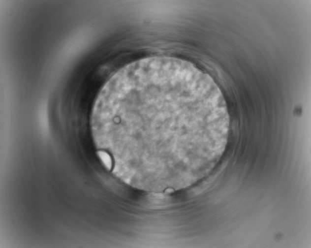 X0000103140429200809192010