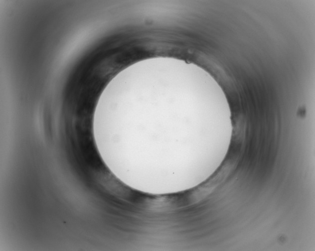 X0000103140430200809192010