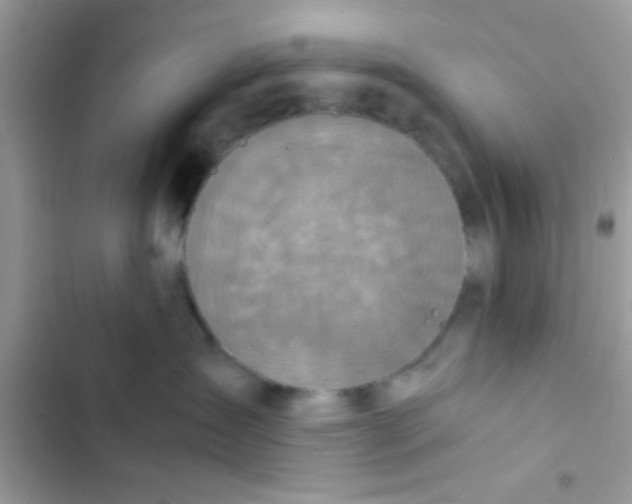 X0000103140431200809192010