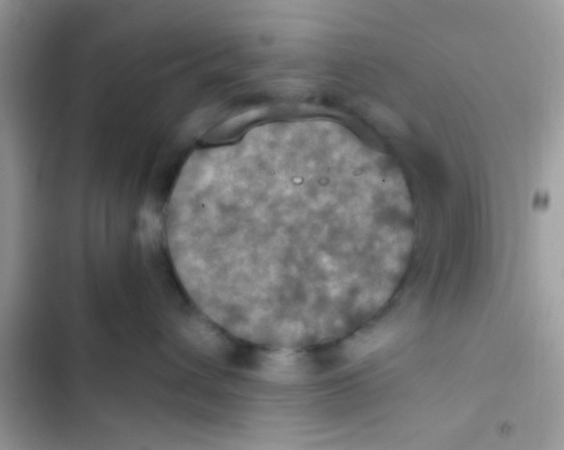 X0000103140432200809192010