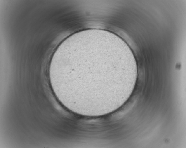 X0000103140433200809192009