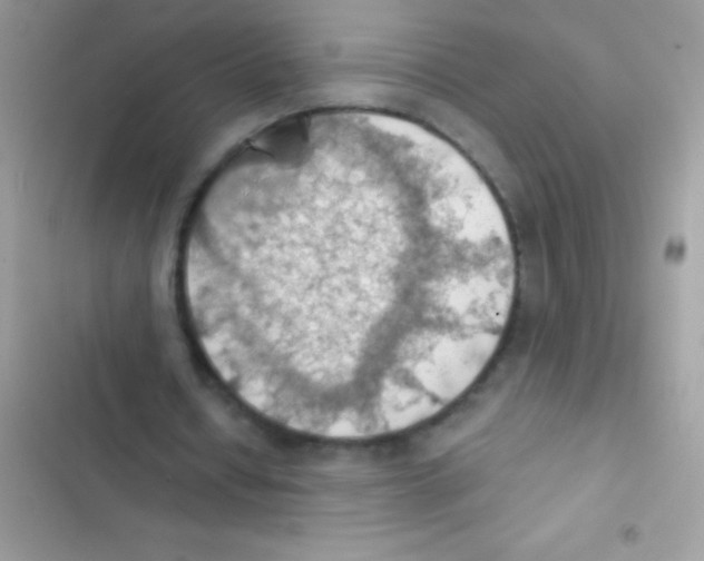 X0000103140434200809192009