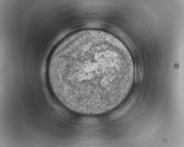 X0000103140435200809192009