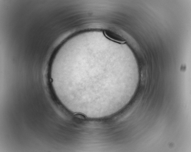 X0000103140436200809192009