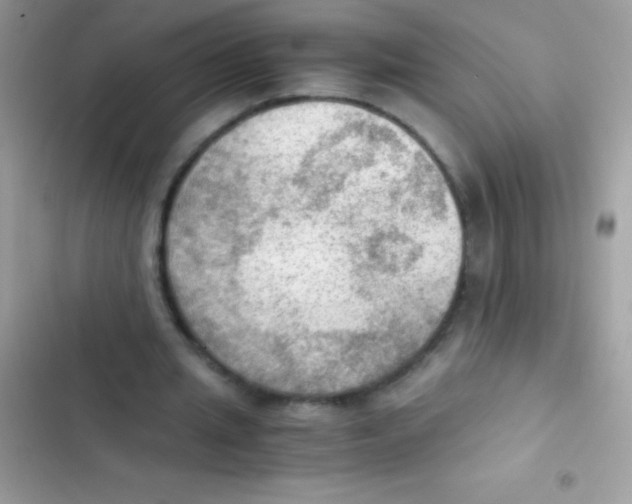 X0000103140437200809192009