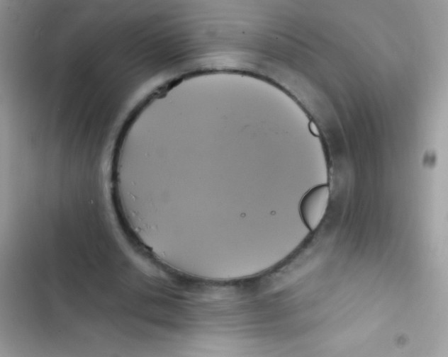 X0000103140438200809192009