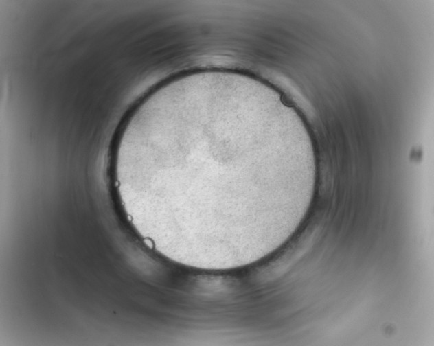 X0000103140439200809192009