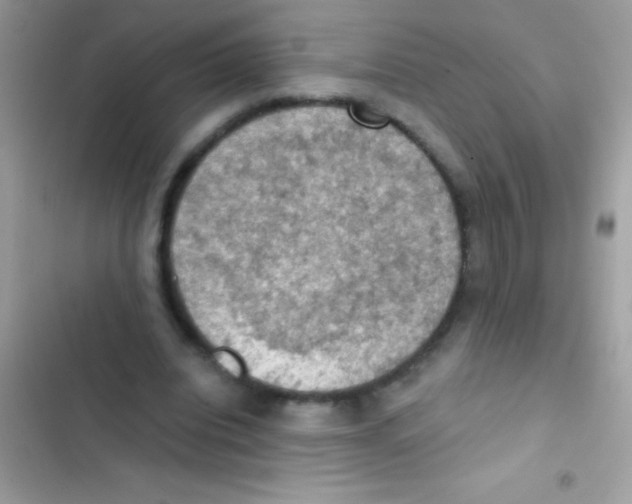 X0000103140440200809192009