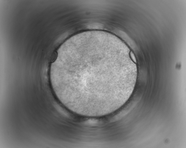 X0000103140441200809192009