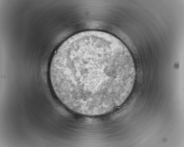 X0000103140442200809192009