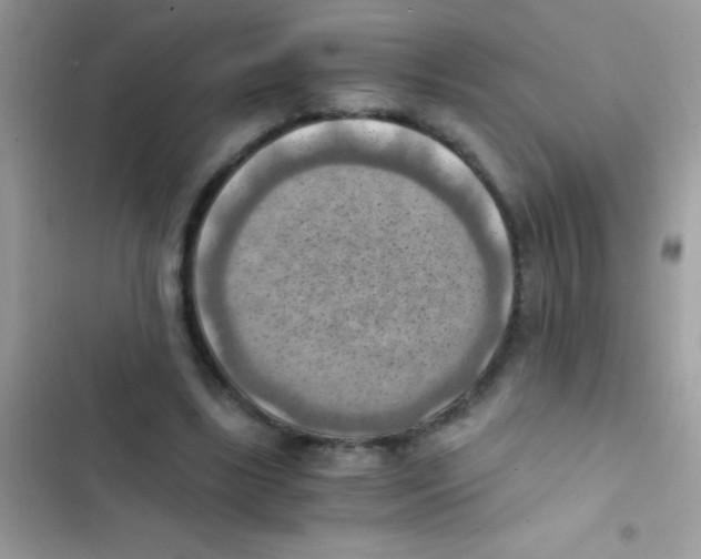 X0000103140443200809192009