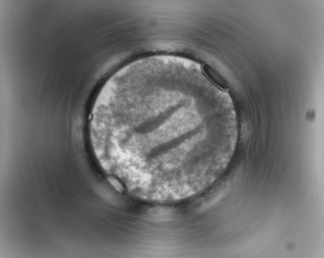 X0000103140444200809192009