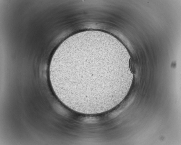 X0000103140445200809192009