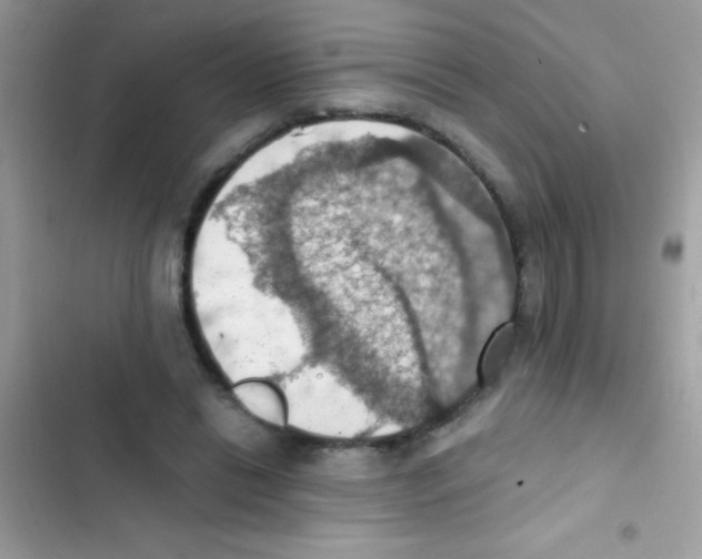 X0000103140446200809192009