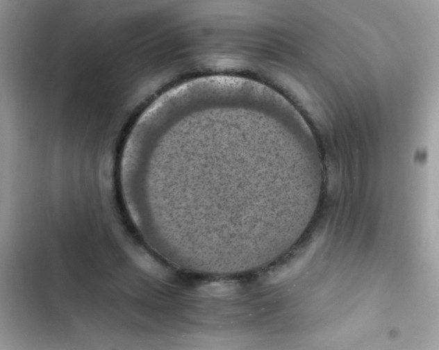 X0000103140447200809192009