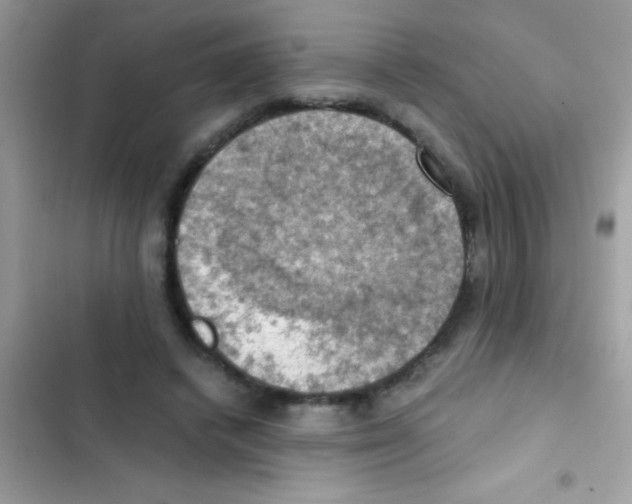 X0000103140448200809192009