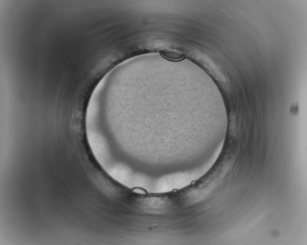 X0000103140449200809192009