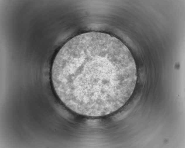 X0000103140450200809192009