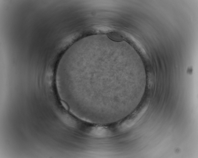 X0000103140451200809192009