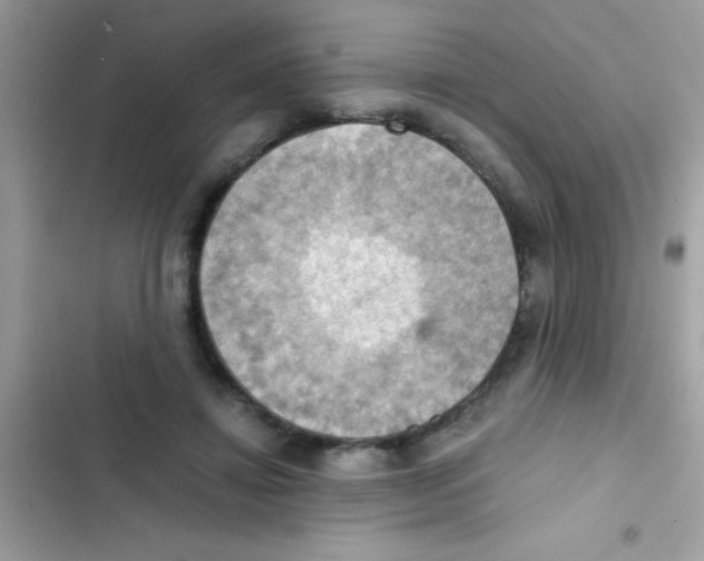 X0000103140452200809192009