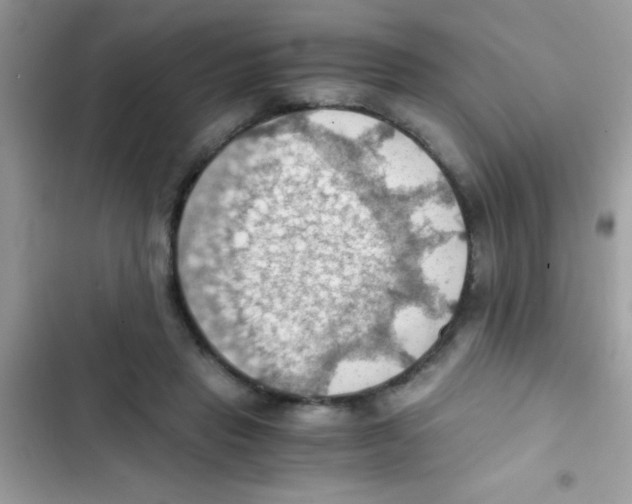 X0000103140453200809192009