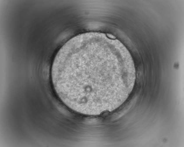 X0000103140454200809192009